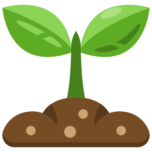 Step 2: Sprouting sapling, tree growth, nurturing plants, environmental care