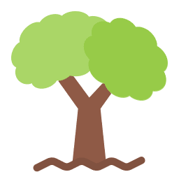 Step 3: Mature tree, full growth, environmental impact, sustainable ecosystem